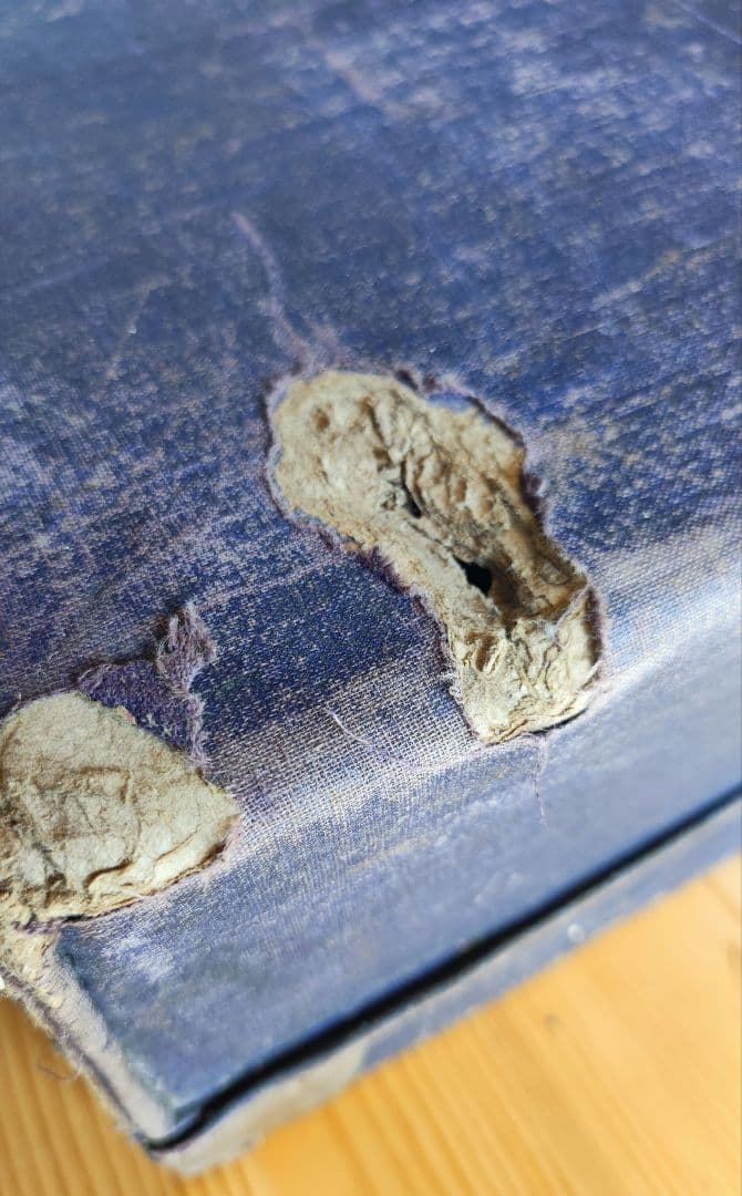 まみちゃん専用 LOUIS JANSSOONEアンティーク トランク