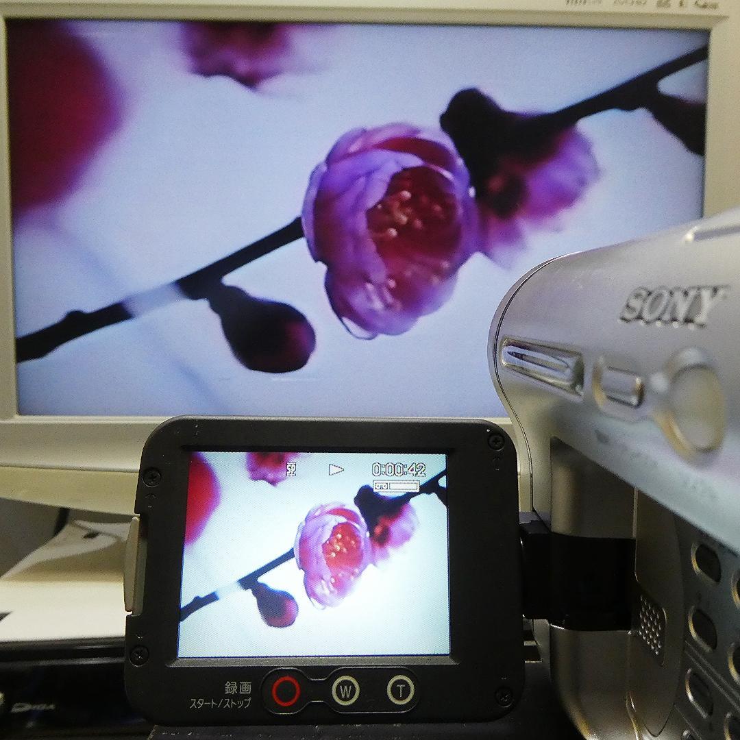 動作良好ソニー CCD-TRV126VideoHi8ビデオカメラ DVD化に最適 - ビデオ