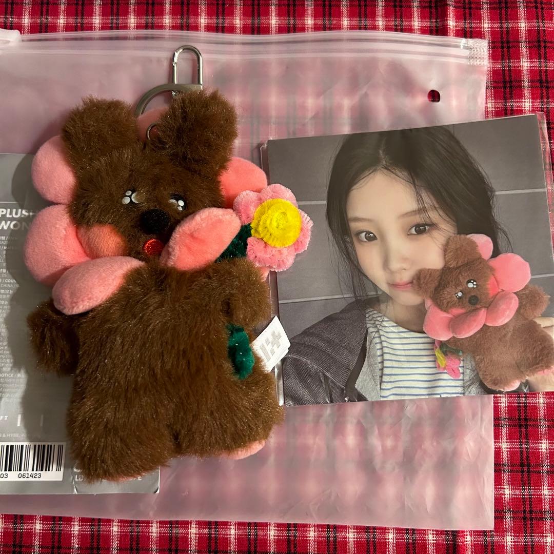 ILLIT Plush Keyring ウォンヒ ぬいぐるみ キーリング - メルカリ