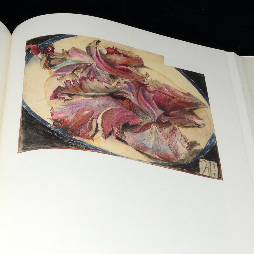 ホルスト・ヤンセン大判画集「NATURE MORTE」 - メルカリ