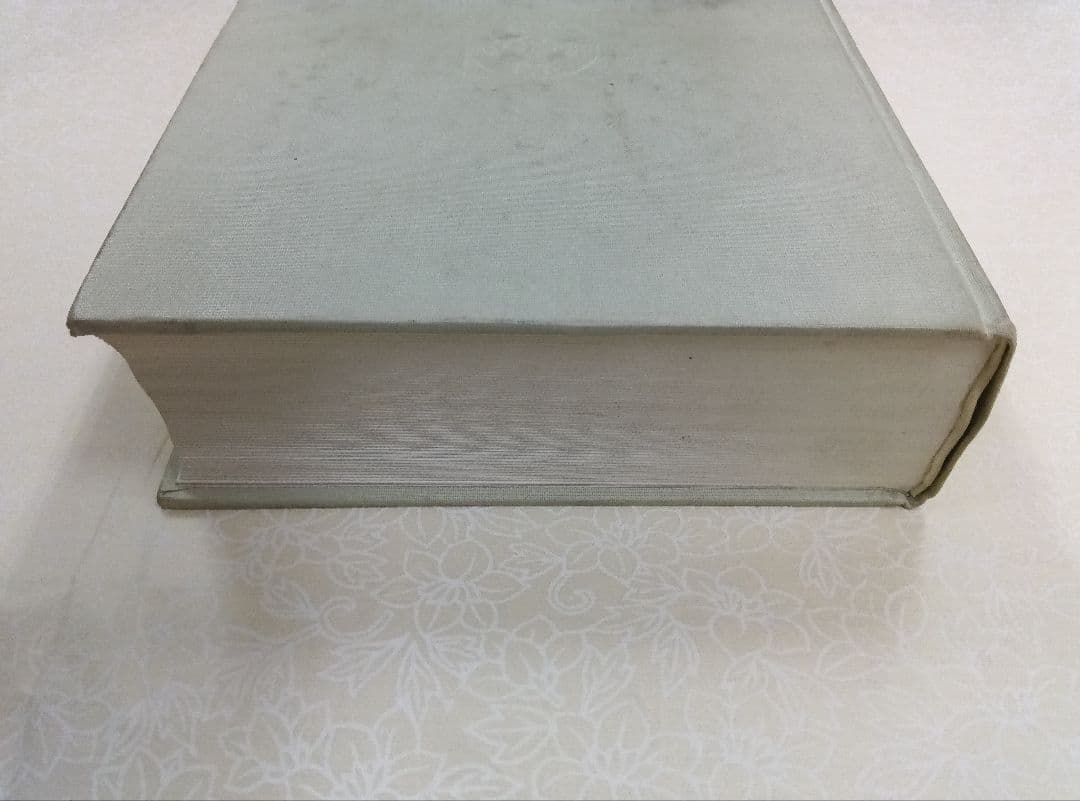 甲骨金文辞典　上下冊　雄山閣　※別冊なし、函なし。※ヨゴレ、スレ多。中は良好。