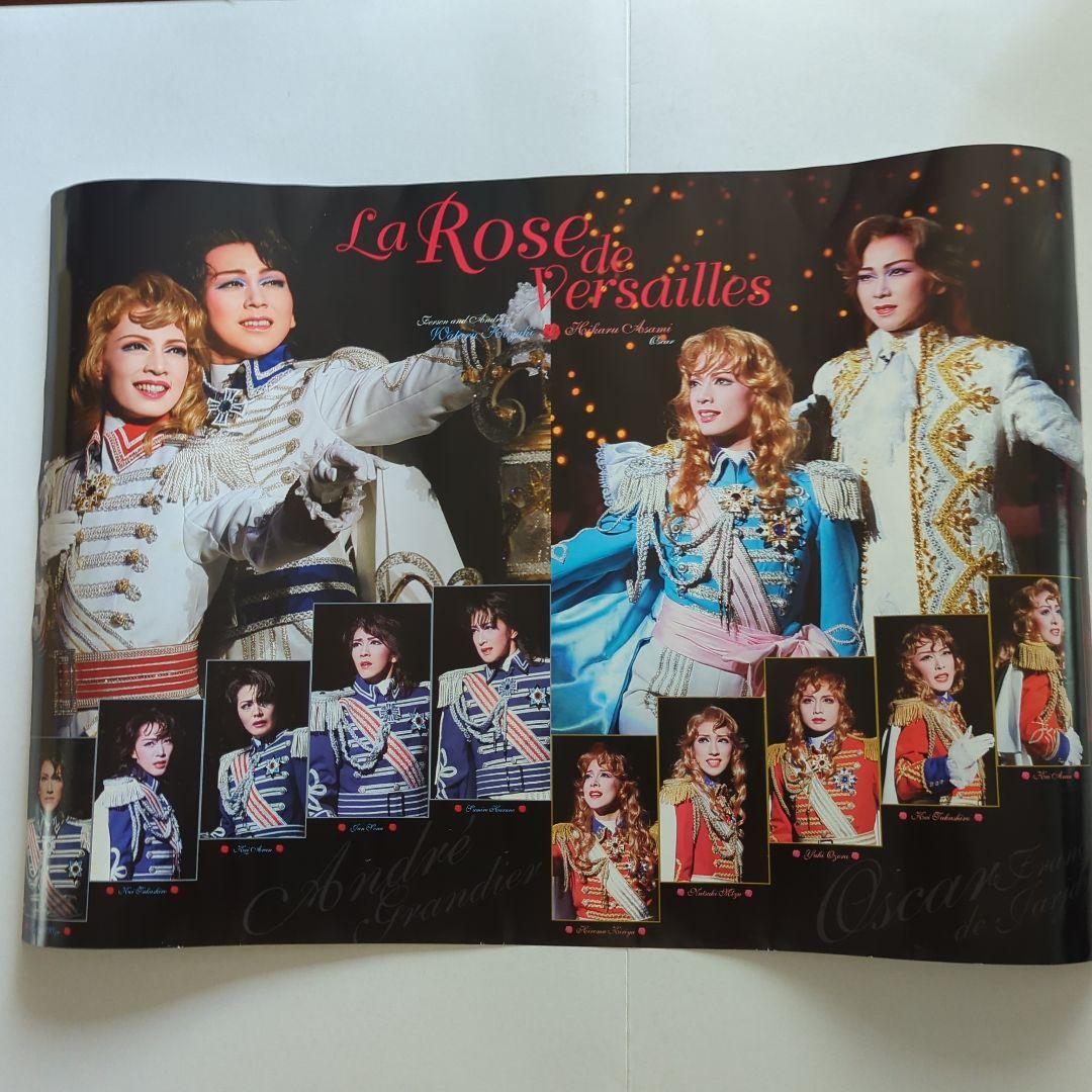 タカラヅカMOOK ベルサイユのバラ特集本 Ⅰ、Ⅱとポスター、DVDの
