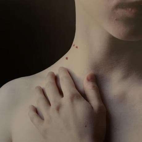 Galateas /Carla Van de Puttelaar★値下げしました