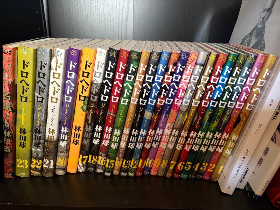 ドロヘドロ 全巻＋オールスター名鑑 ドロヘドロオールスター名鑑完全版 | 林田 球 | 【試し読みあり