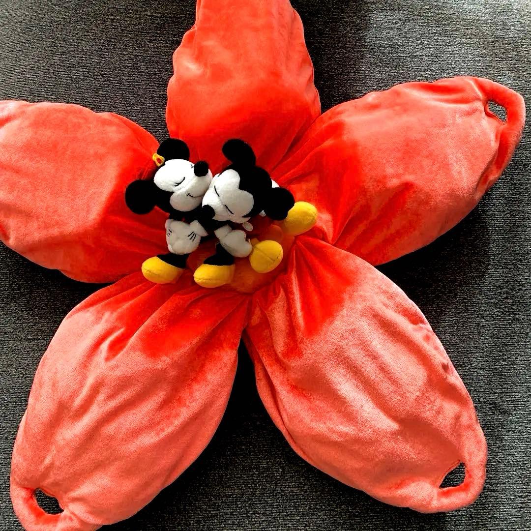 レア ミッキー ミニー ぬいぐるみ 蕾 桃 ディズニーランド 当時物