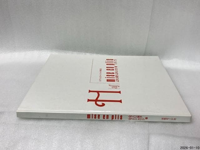 希少　ミザンプリ : H(アッシュ)カールセットの新技法 ムラハシ英子