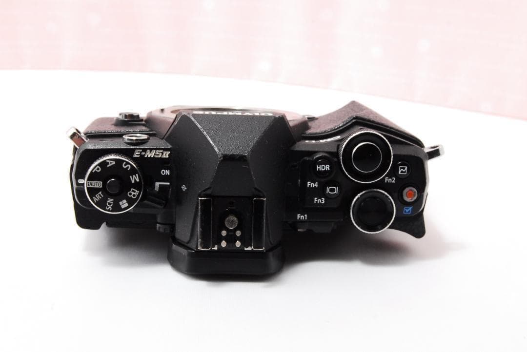 〓訳あり品〓オリンパス OM-D E-M5 Mark II＋14-42mm Ⅱ - メルカリ