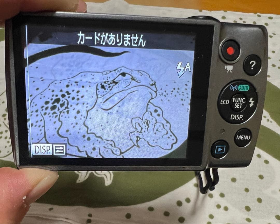 美品 Canon PowerShot A3500 IS《動作確認済み》