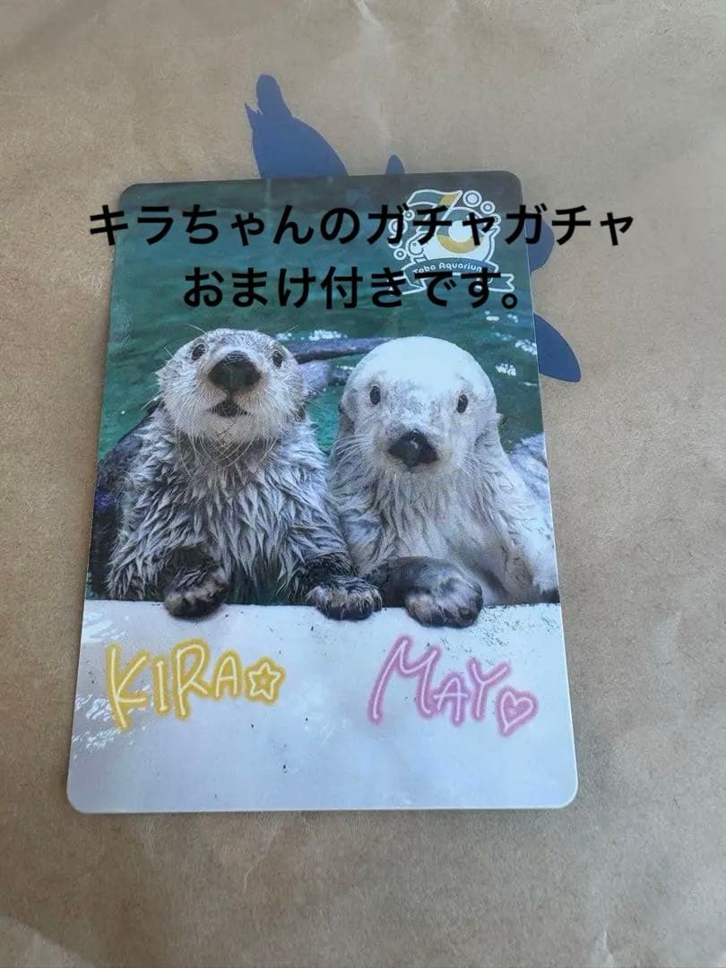 最終値下げ！鳥羽水族館 コレクションカード 70周年記念ラッコ キラ