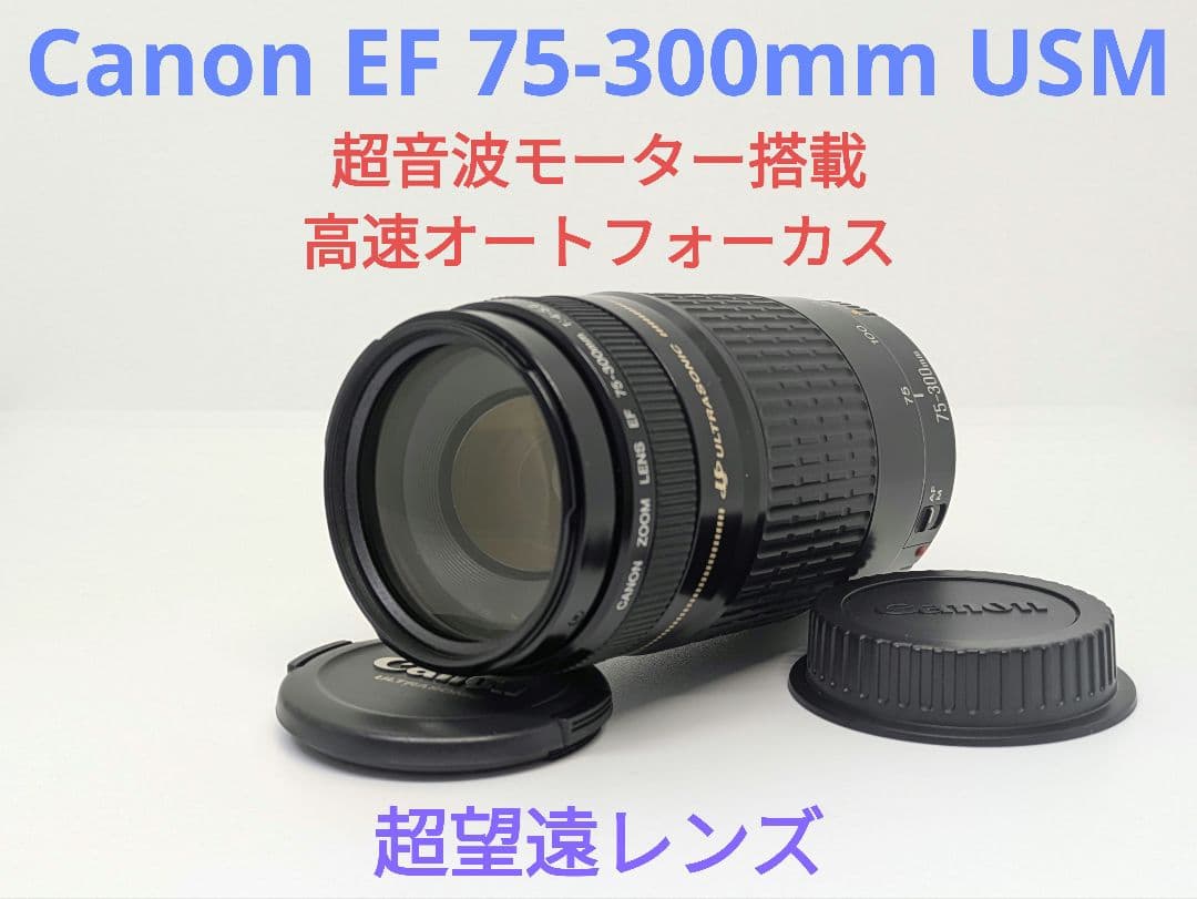 5月7日限定販売♪【超望遠レンズ】Canon EF 75-300mm USM キヤノン（Canon） 望遠レンズ CANON EF 75-300mm F4-5.6 IS USM 中古