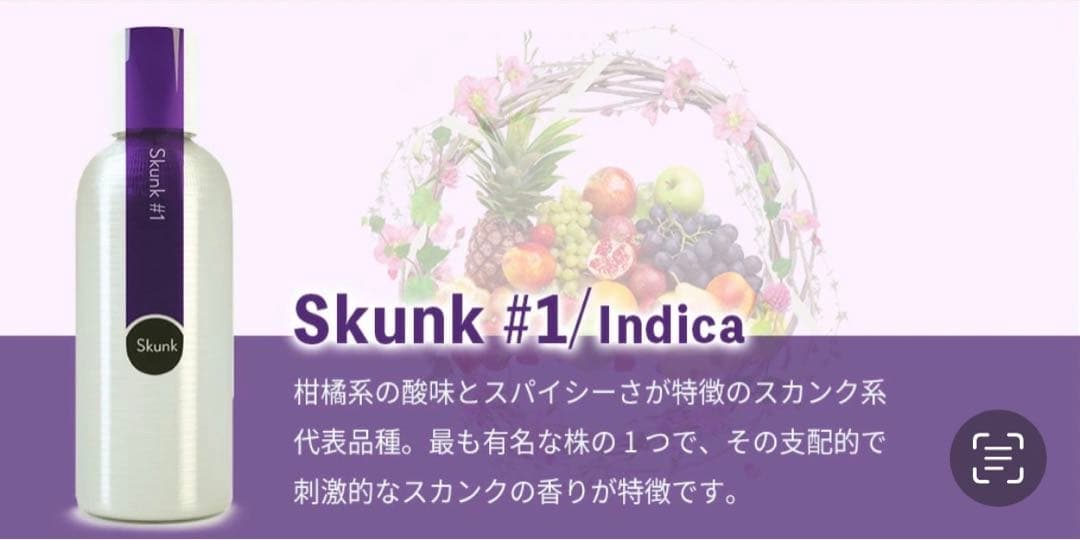 Eybna イブナ 香料 CBD CBN CBG 10ml ジーエムオー