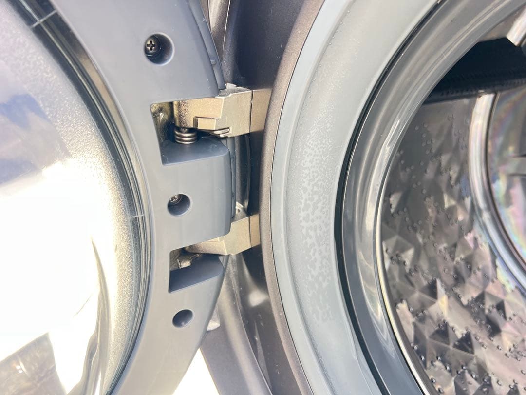 Panasonic ドラム式洗濯機 NA-VX9900L 10.0kg