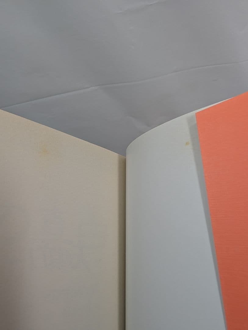 天の真白 はづき蓮子