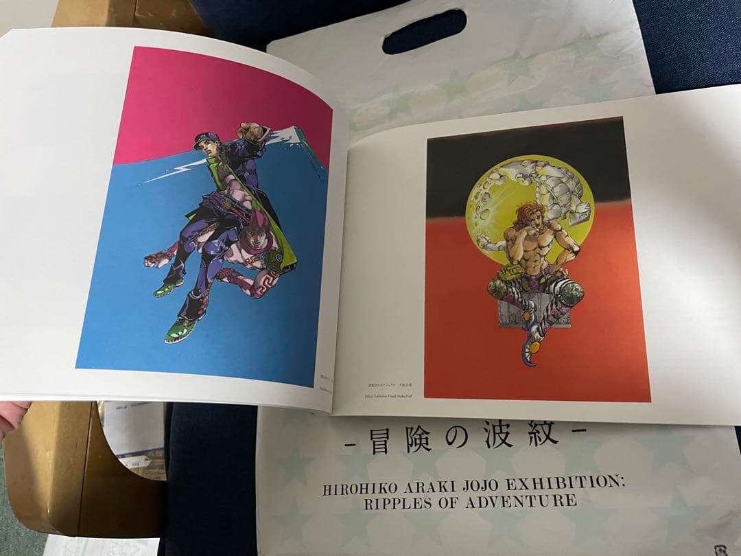 【美品❗️早い者勝ち❗️】荒木飛呂彦原画展 JOJO - 冒険の波紋 -図録