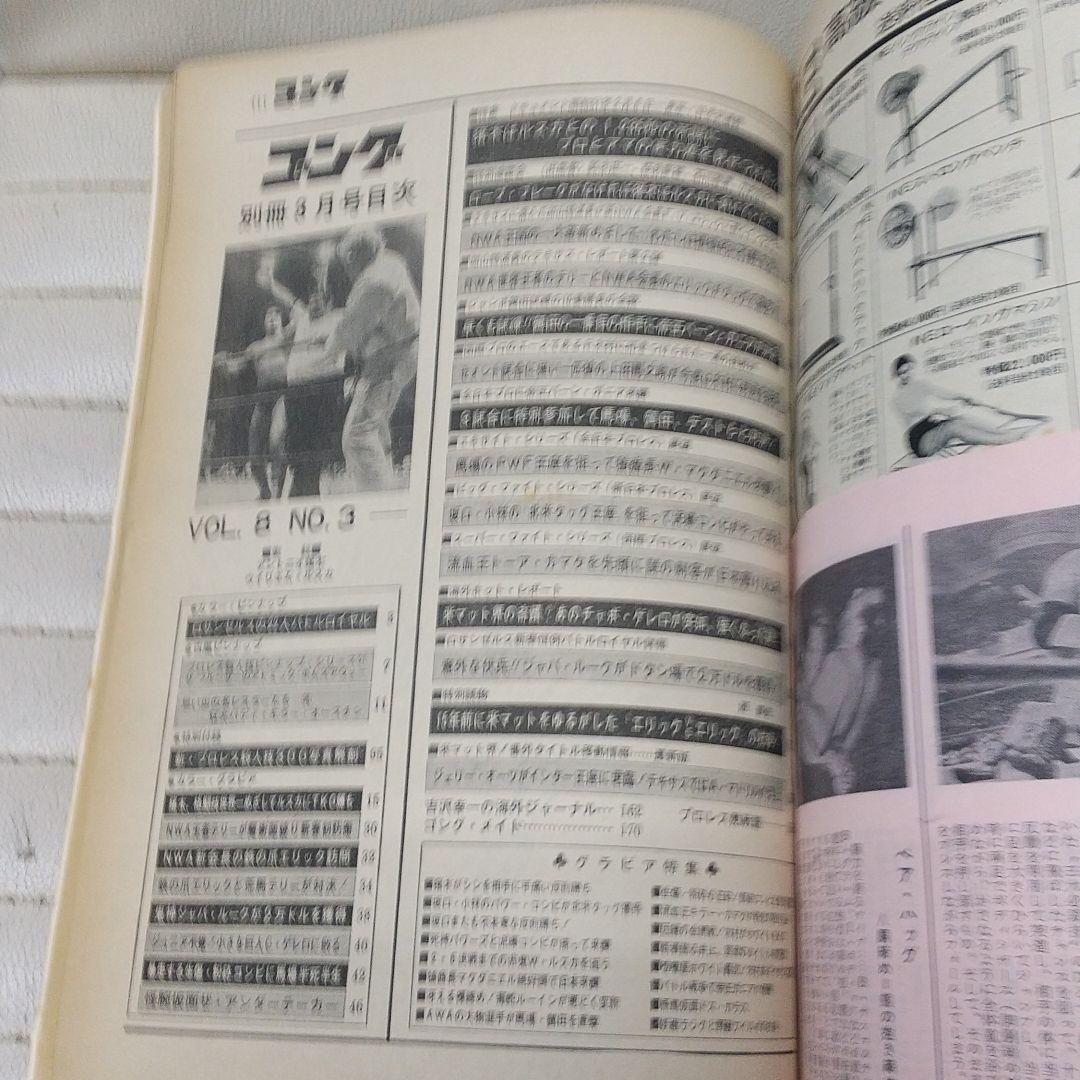 別冊ゴング1976年3月号 猪木vsルスカ格闘技世界戦詳報 プロレス雑誌