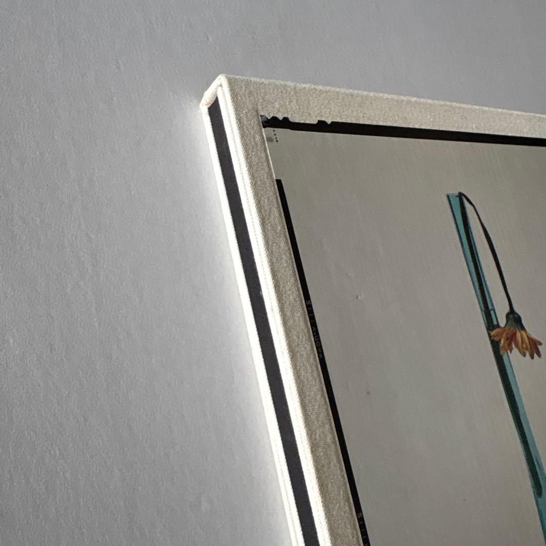 上田義彦　flowers アーヴィング・ペン　桐島かれん 荒木経惟　葛西薫