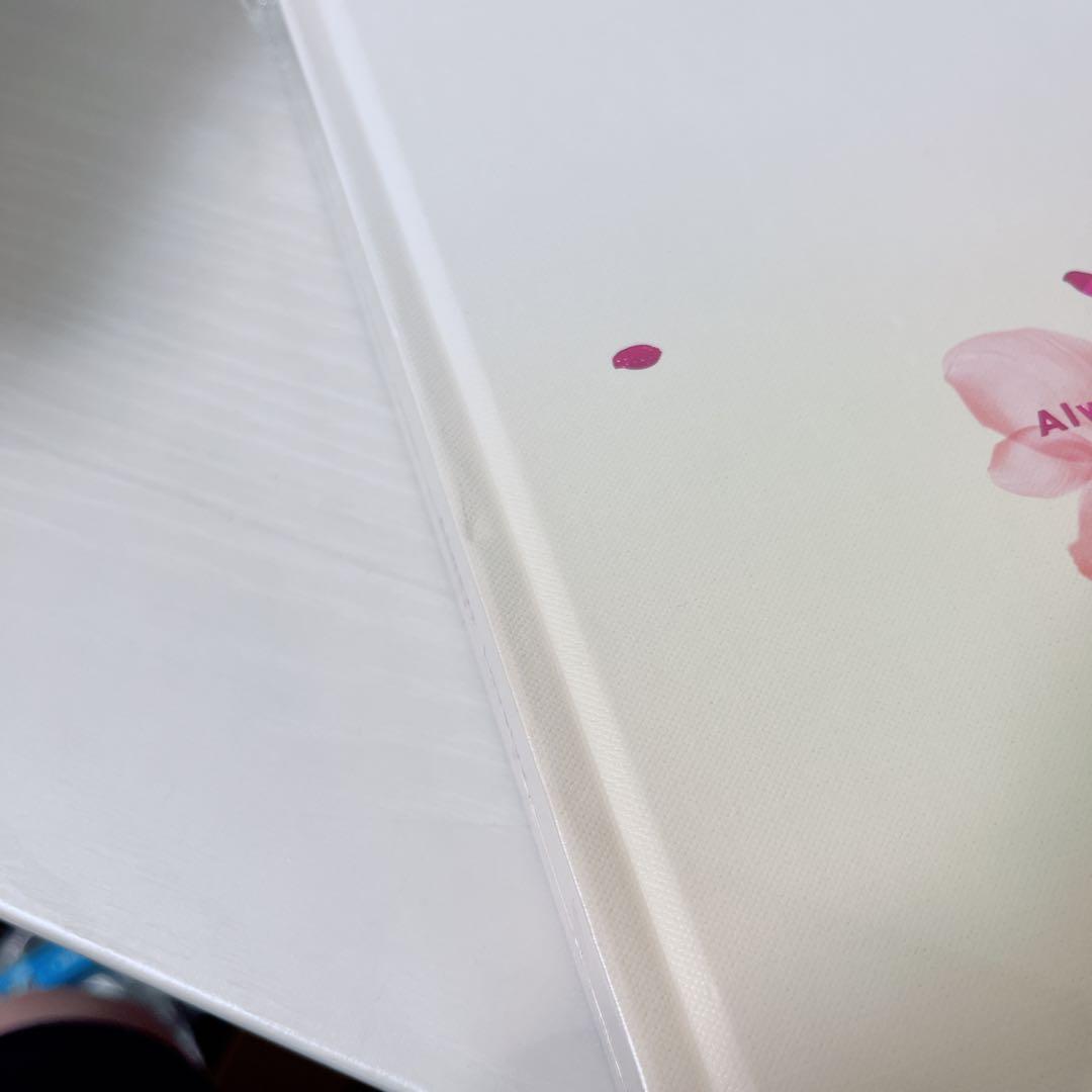 【新品未開封】Photobook  ALWAYS LOVELYZ