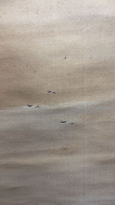 山本春挙 蓬莱山園 掛け軸 掛軸 共箱あり 二重箱 26 - メルカリ