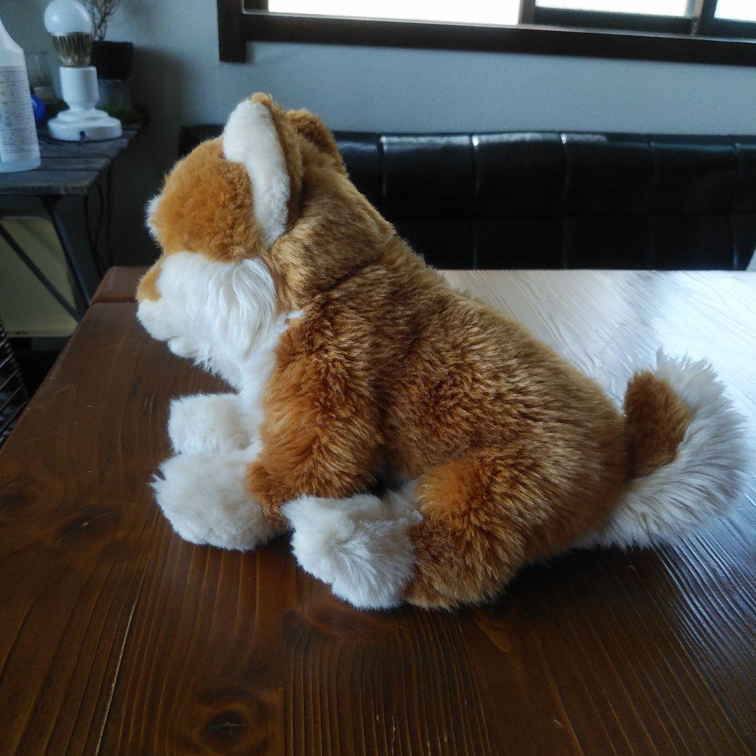 REGALO レガロ リアルドッグコレクション ぬいぐるみ 柴犬 高さ約18cm