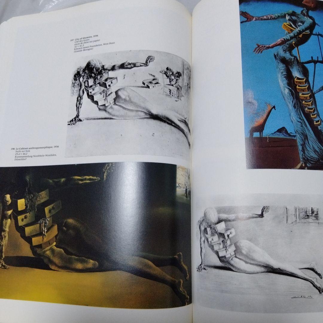 ダリ回顧展 図録 1980年 ポンピドーセンター 近代美術館 大型本 布装
