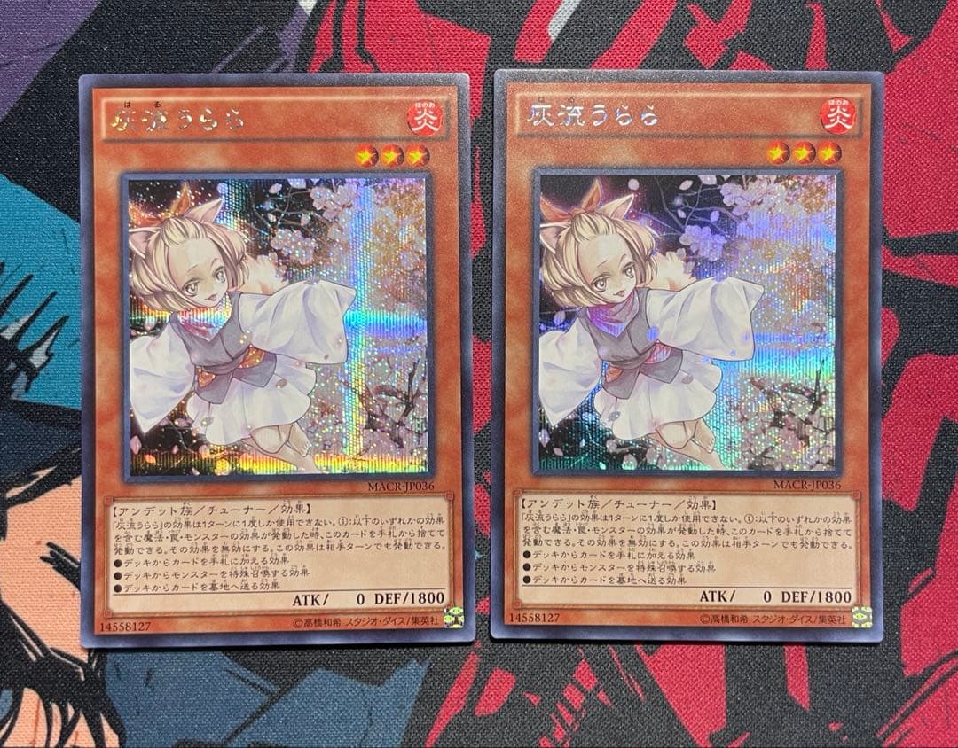 ALL初期型番】増殖するG・灰流うらら・無限泡影・墓穴の指名者 まとめ