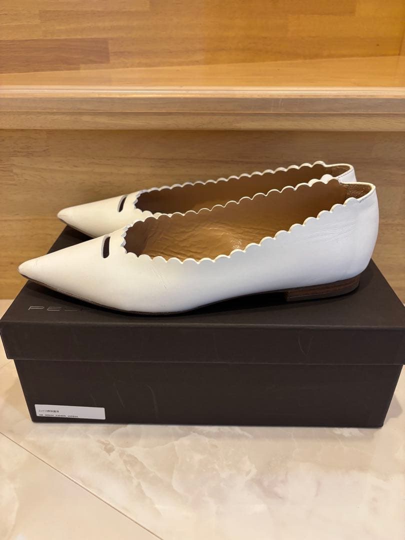 限定】ペリーコ アネッリ 白 37