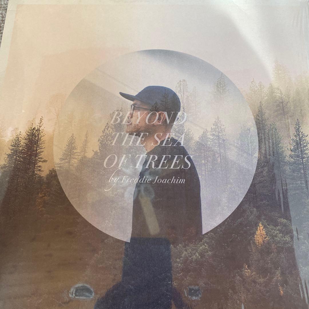洋楽 Freddie Joachim /Beyond The Sea Of Trees Beyond The Sea of Trees | Freddie Joachim