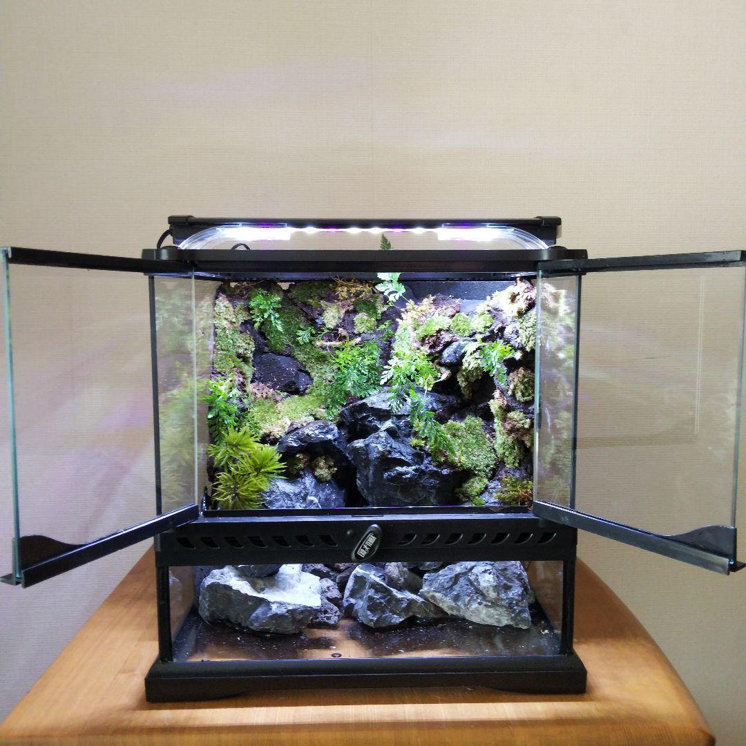 受注生産】グラステラリウム3030 イモリウム 苔テラリウム アクア