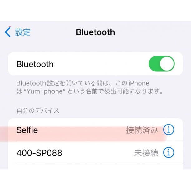 yuukiさん専用30個