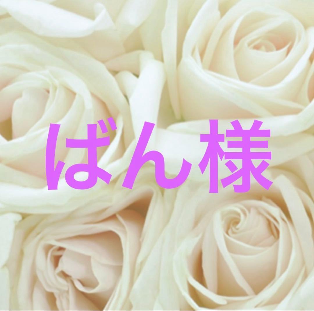 ばん様 オーダー オルゴナイト 動物型 | オルゴナイト 通販 天然石雑貨屋 毘殊 −Bijyu−