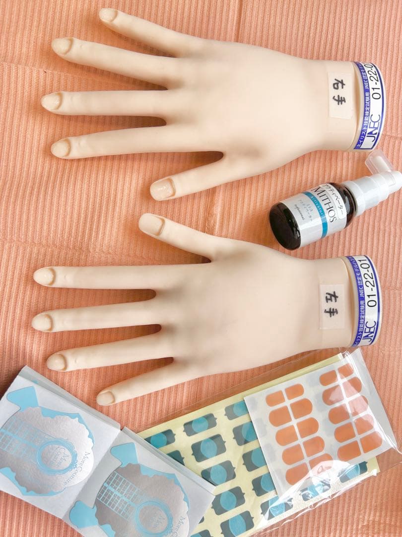 ST認定モデルハンド/骨折なし STモデルハンド｜滝川株式会社