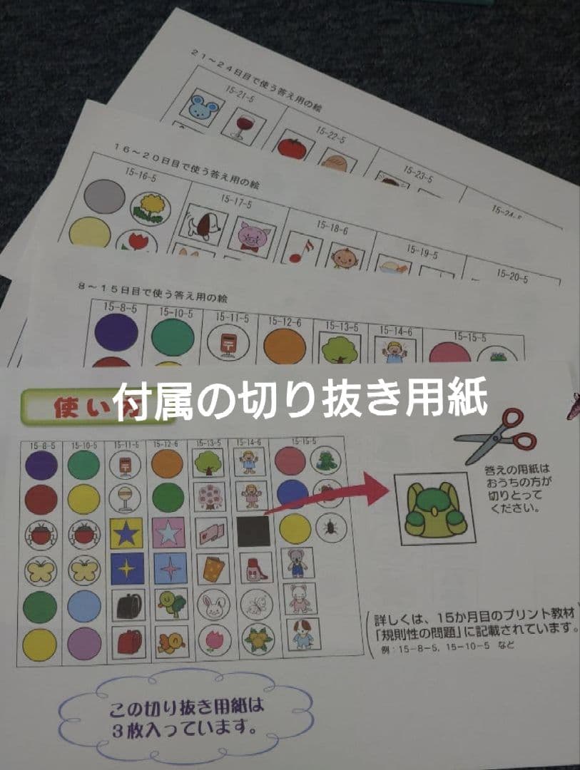 家庭保育園 キララ 全36ヶ月分（全て未記入・コピーガードなし旧版）会員誌付
