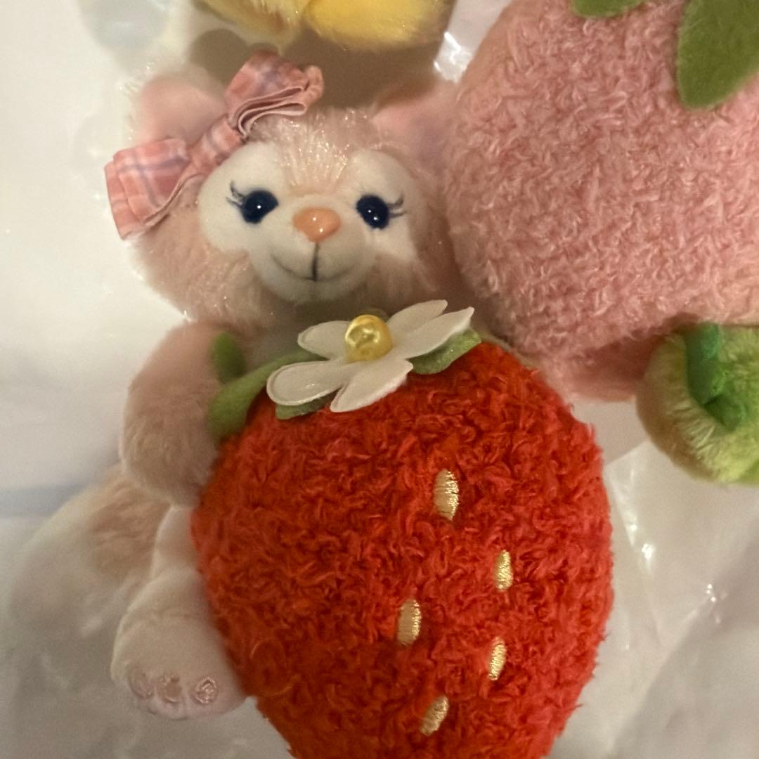 顔厳選 新品未使用ハートフェルトストロベリーギフト ぬいぐるみ