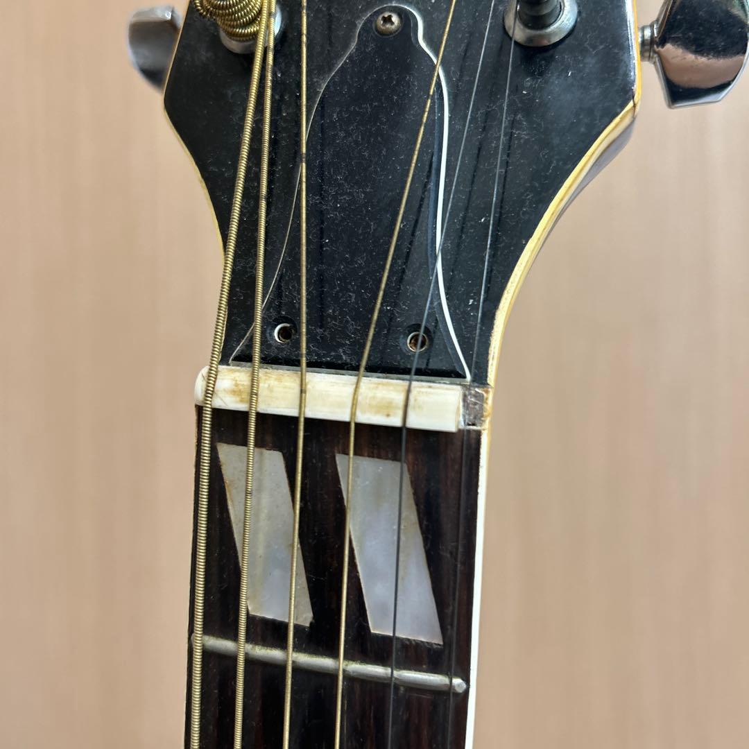 レア品】pro martin w-35 アコースティックギター ピックガード付