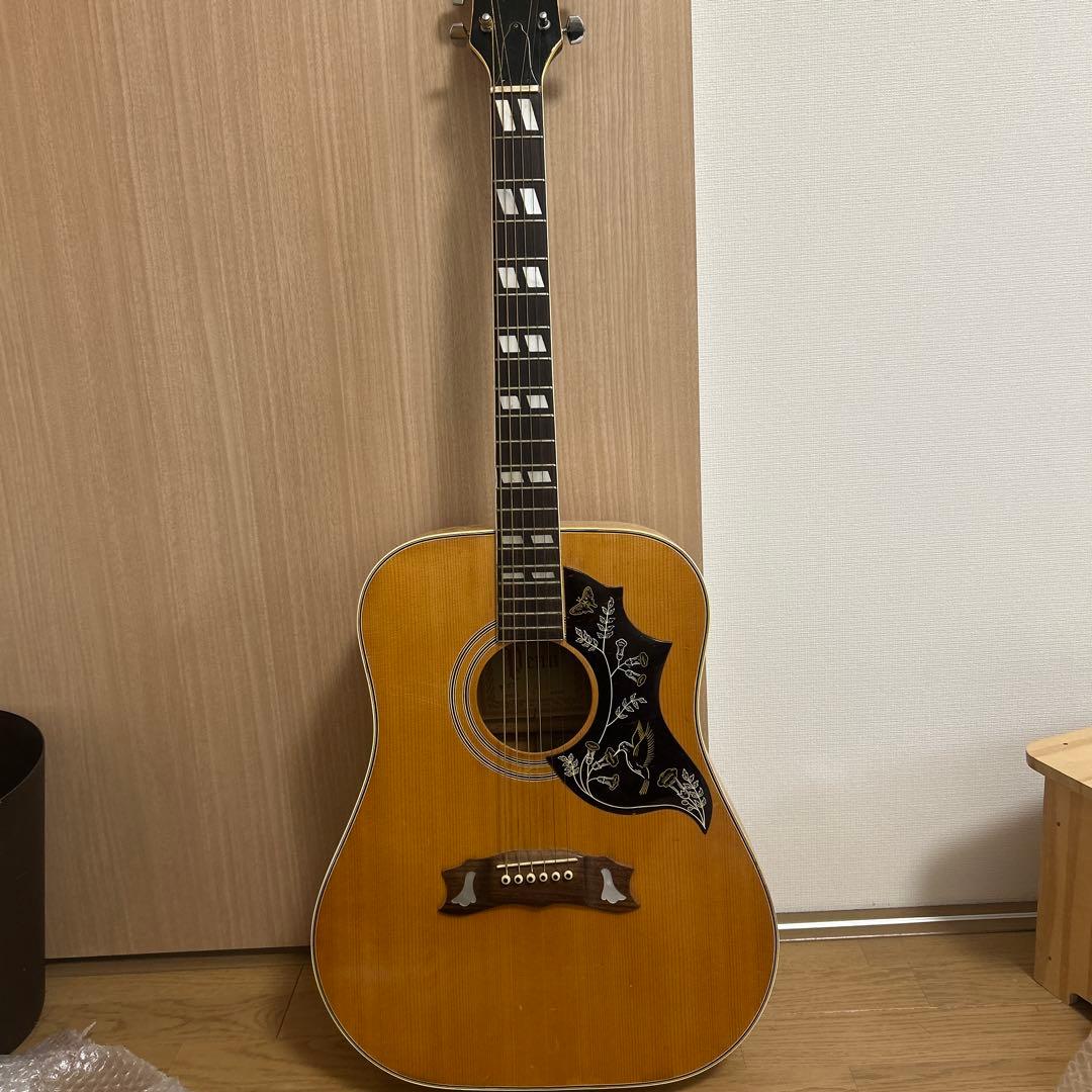 【レア品】pro martin w-35 アコースティックギター　ピックガード付 レア品】pro martin w-35 アコースティックギター ピックガード付