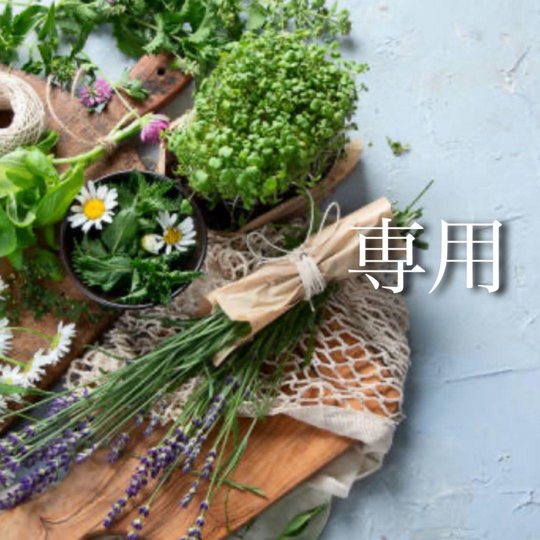 クレンジング・メイク落とし hanagoya 草花木果 メイク落としオイル N / キナリ公式ショッピングサイト