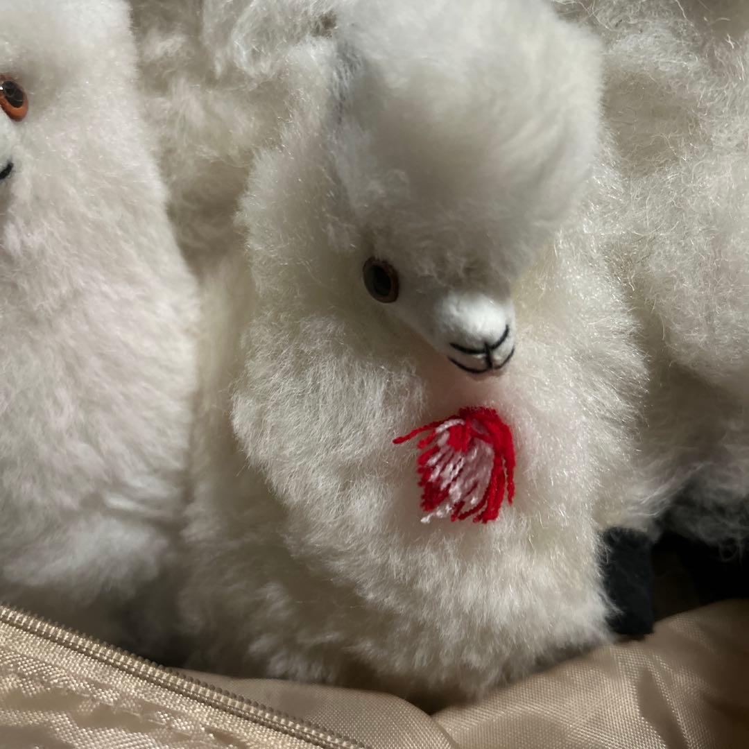 ペルー現地購入 アルパカぬいぐるみ5点セット