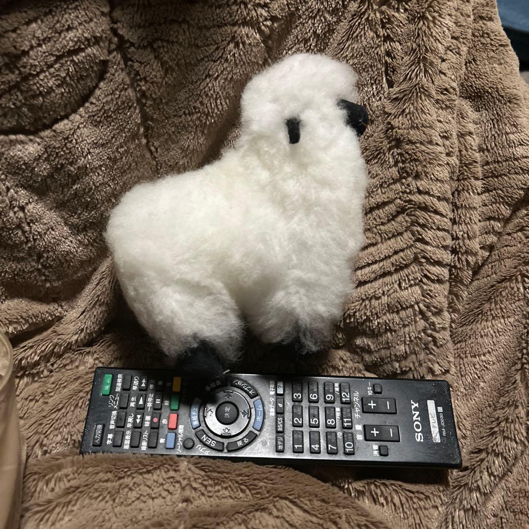 ペルー現地購入 アルパカぬいぐるみ5点セット