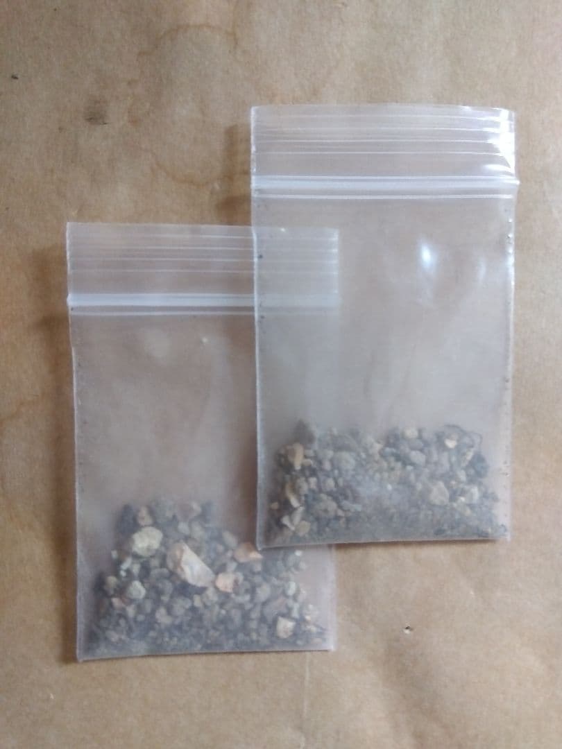 リリー窓口‼ The autonomic nervous system in the regulation of glucose and