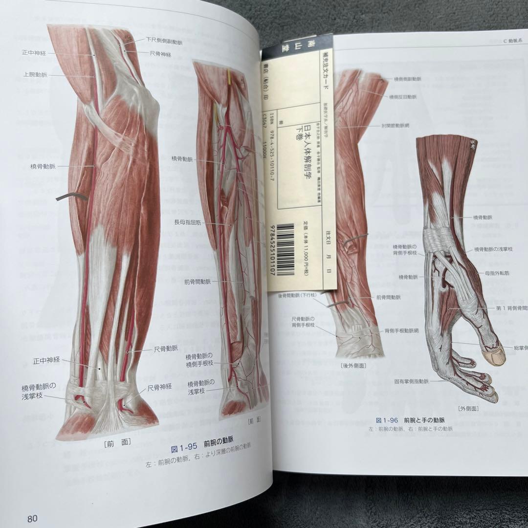 日本人体解剖学 下 改訂20版 - メルカリ