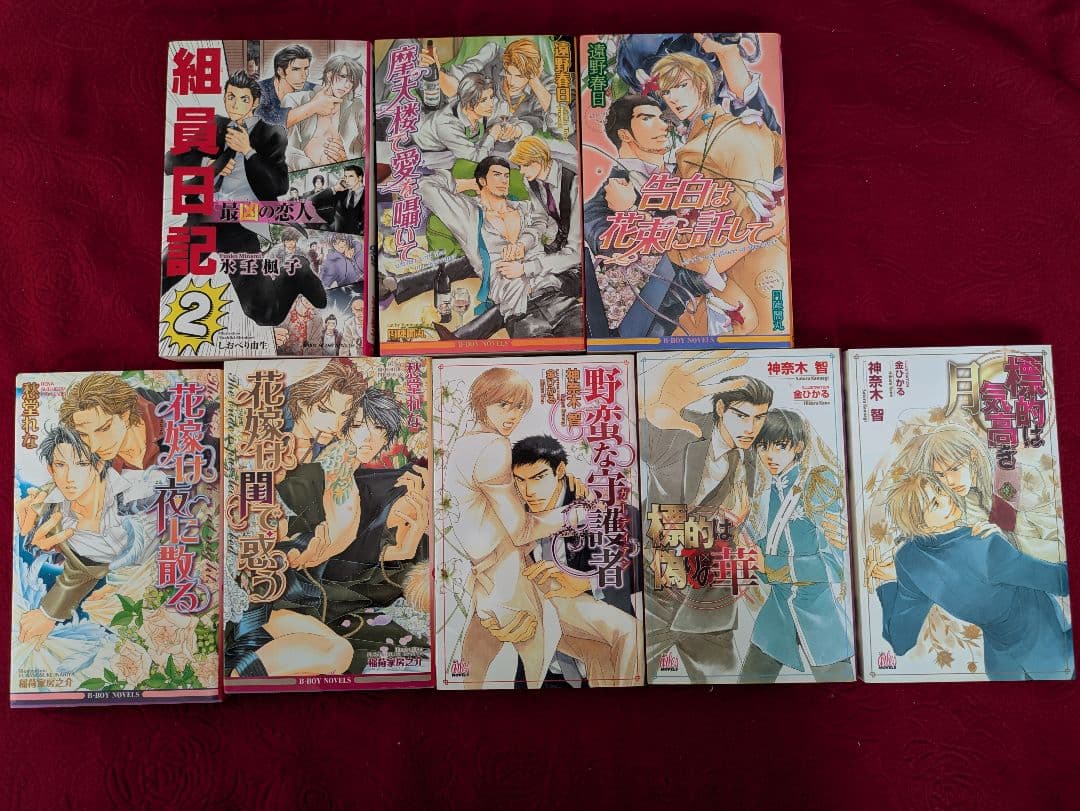 商業BLまとめ売り！　37冊　日向唯稀　愁堂れな　遠野春日　神奈木智　妃川螢