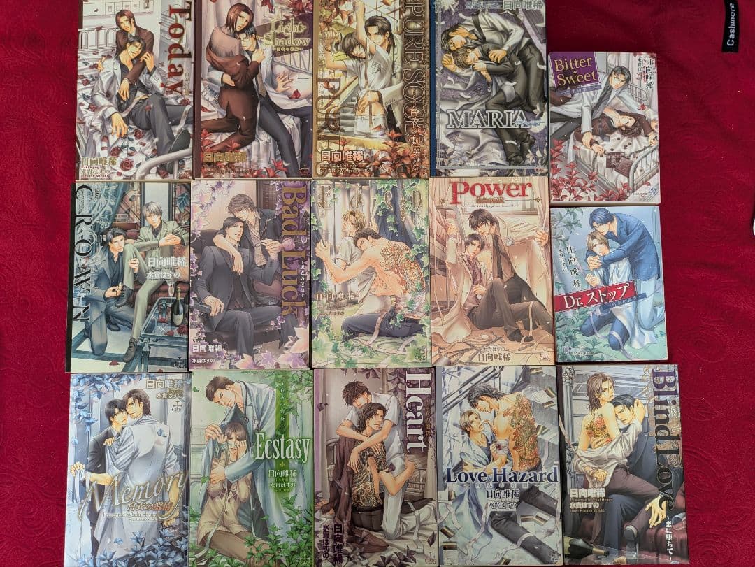 商業BLまとめ売り！　37冊　日向唯稀　愁堂れな　遠野春日　神奈木智　妃川螢