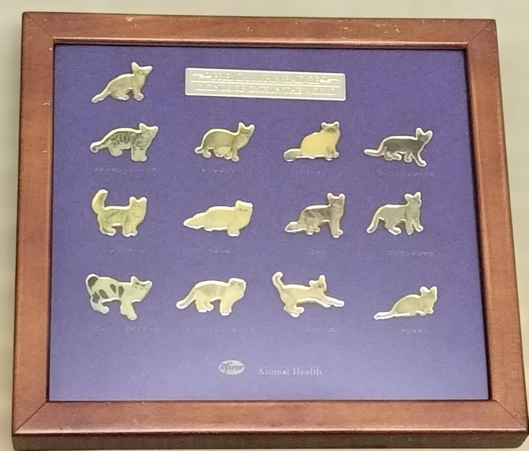 ファイザー社 世界の猫ピンバッチ 額入り セット - メルカリ