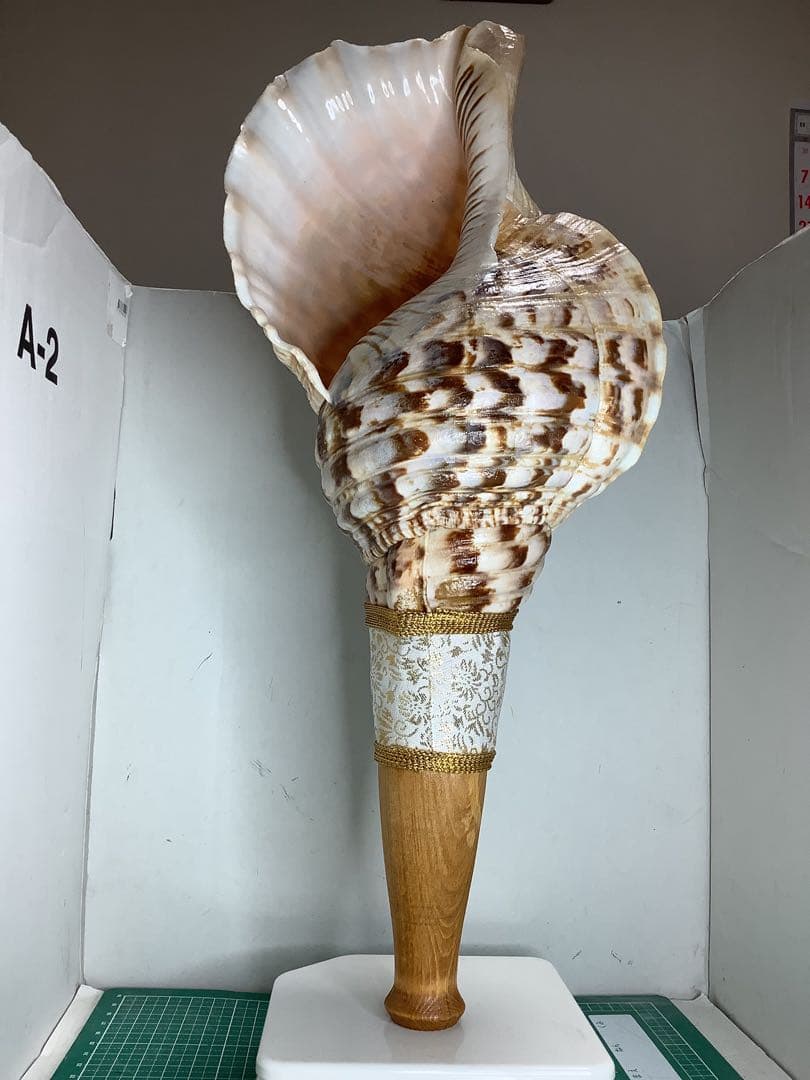 ヤフメリ1・法螺貝・山伏・修験者・金峯山・羽黒山・戦国武将・縁起物・魔除・熊除笛 ヤフメリ61・法螺貝・山伏・修験者・戦国武将・豊臣兄弟・金峯山・羽黒