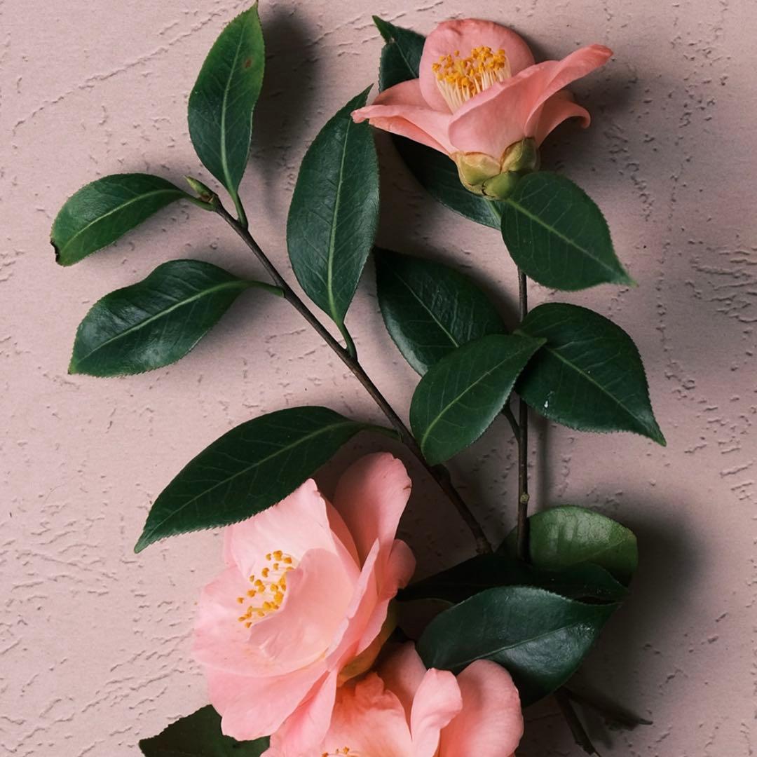 【zigensanさま専用】 スリクソン チューニングウエイト 別売カートリッジ ZXi／ZXi TR／ZXi