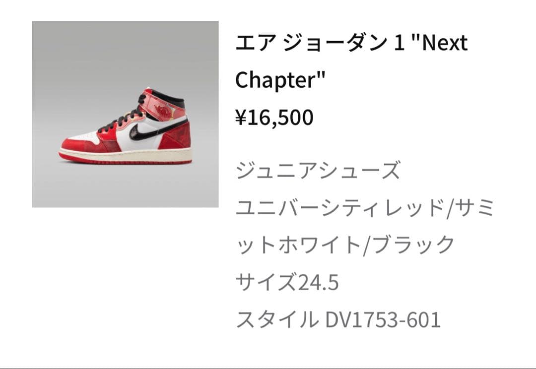 スニーカー Nike Air Jordan 1 Next Chapter 24.5cm