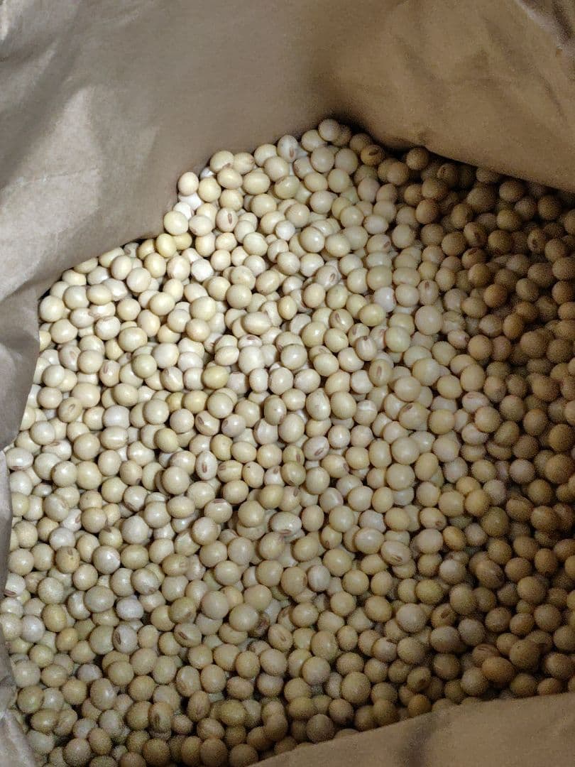 すずはな様専用岐阜県産低農薬大豆フクユタカ15キロ - メルカリ
