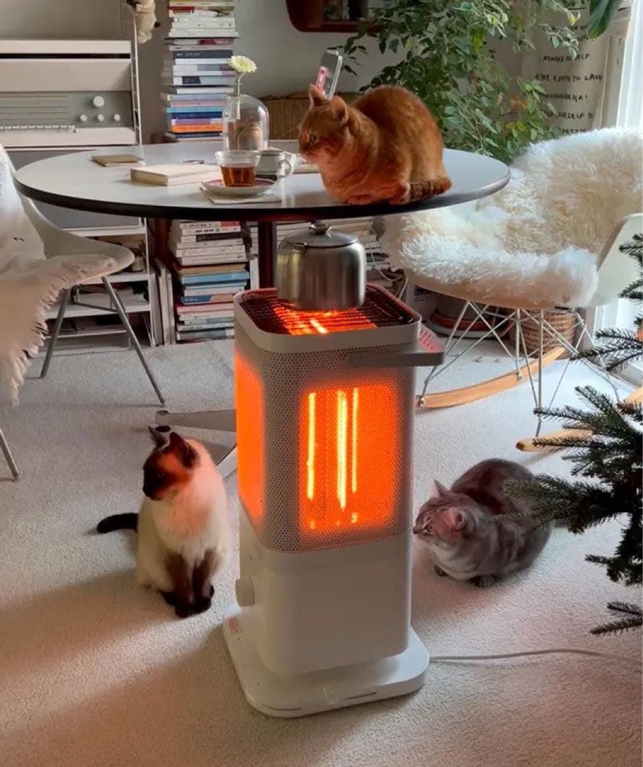 引き取りor着払い 限定】edir 3Dサラウンドカーボンヒーター ほぼ未