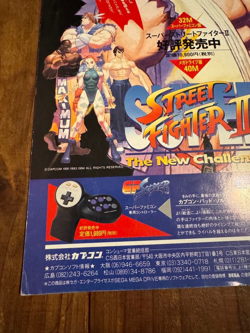 劇場版ストリートファイター2 MOVE パンフレット 映画 ポスター