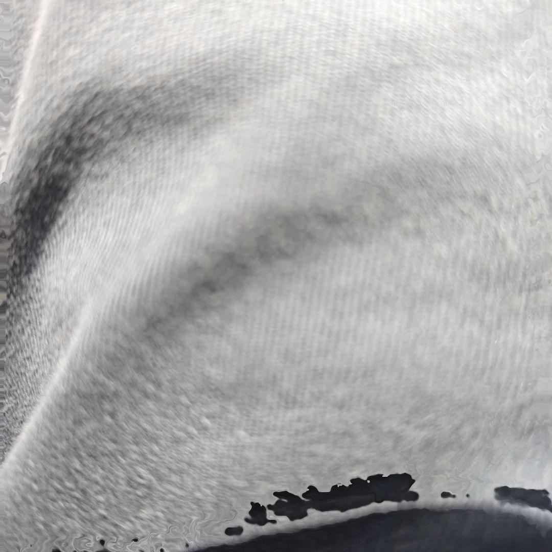 テラバイト君 トリックスター / Ninja ZX-25R(21-25) / ZX-25RR / Ninja ZX-4R・RR